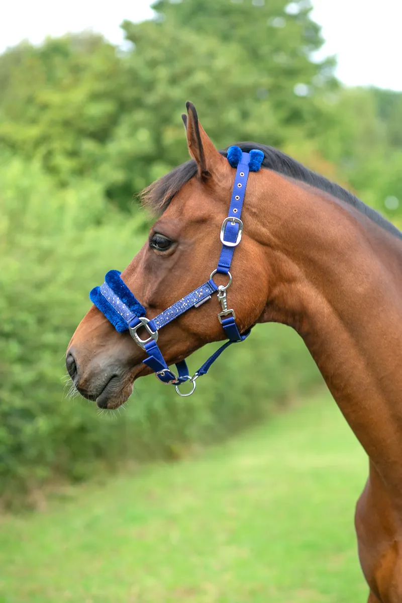 Hy Equestrian Dazzle Head Collar - Twilight Navy-1